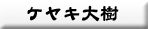 ケヤキ大樹