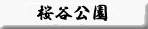 随身門